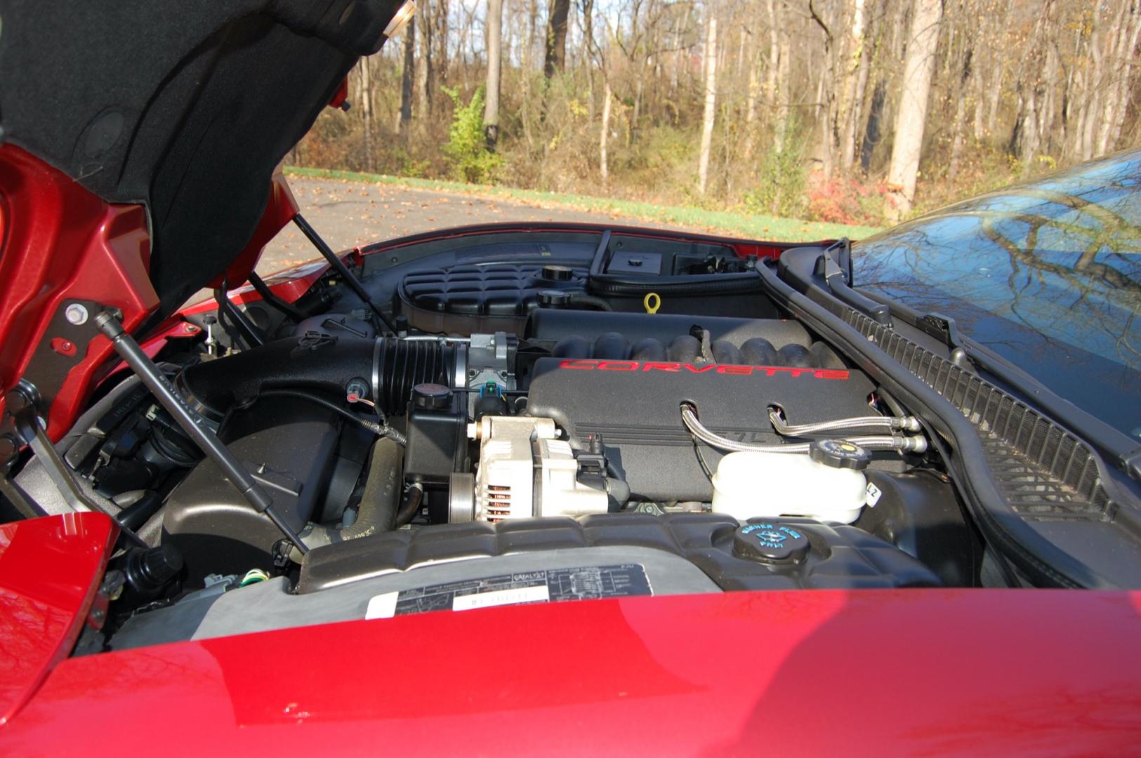 1998 Burgundy /Beige Leather Chevrolet Corvette (1G1YY32G9W5) with an 5.7 liter V8 engine, Automatic transmission, located at 6528 Lower York Road, New Hope, PA, 18938, (215) 862-9555, 40.358707, -74.977882 - Photo#34